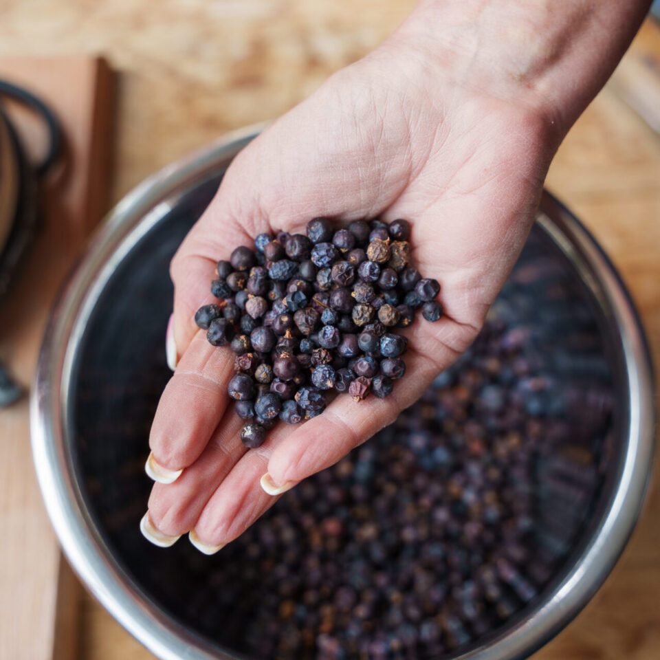 A handful of juniper berries at the Sky Wave distillery