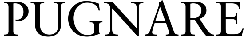 Pugnare